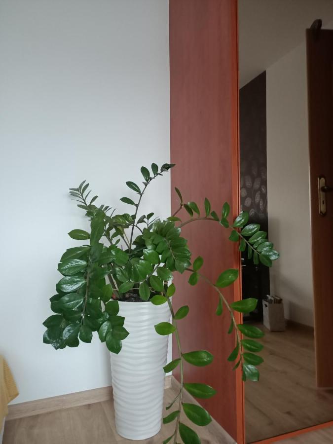 Pomaranczowa Apartment Щецин Екстер'єр фото